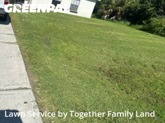 Grass Cutting nearby North Port, FL, 