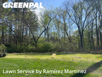 Lawn Service nearby Durham, NC, 