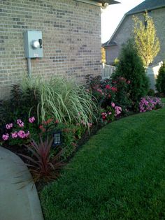 Order Lawn Care in Indianapolis, IN, 46236