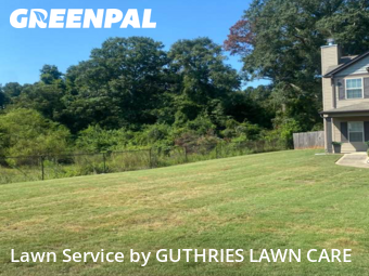 Weekly Mowing in Byron, 31008, Backyard Mowing by GUTHRIES LAWN CARE , work completed in Nov , 2025