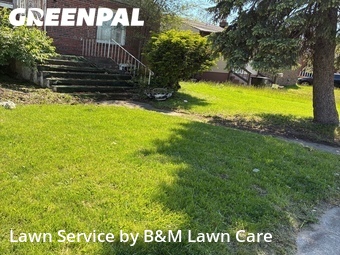 Lawn Mow nearby Gary, IL, 