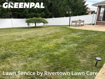 Lawn Cut nearby Aliquippa, PA, 