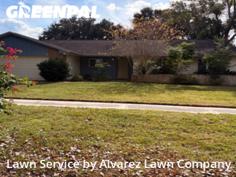 Lawn Maintenancein Altamonte Springs,32701,Lawn Mowing by Alvarez Lawn Company, work completed in Feb , 2026
