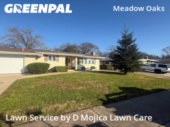 Lawn mowed in Roseville, 95661