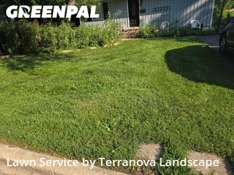 Grass Cut nearby St. Charles, IL, 