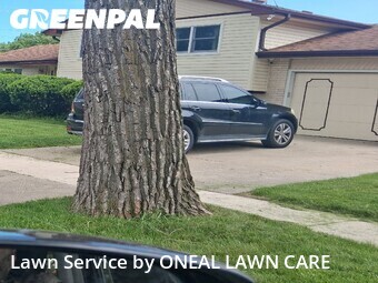 Lawn Care Service nearby Des Plaines, IL, 