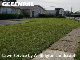 Lawn Cut nearby Erie, PA, 