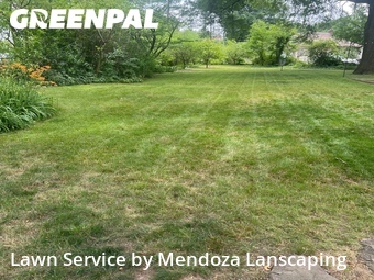Grass Cutin Brentwood,20722,Lawn Maintenance by Mendoza Lanscaping, work completed in Jun , 2026