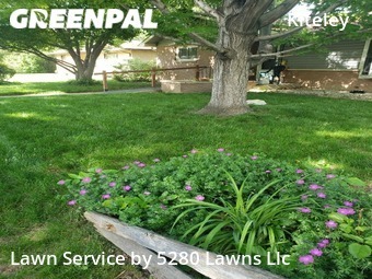 Yard Cutting nearby Longmont, CO, 