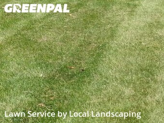 Lawn Service nearby Marion, OH, 