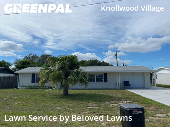 Lawn Mowing nearby Holiday, FL, 