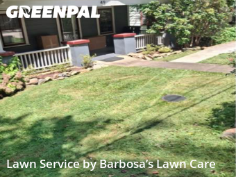 Yard Cutting nearby Asheville, NC, 