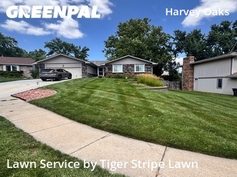 Lawn Cut nearby Omaha, NE, 