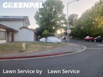 Lawn Mow nearby American Canyon, CA, 