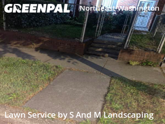 Lawn Cut nearby Washington, MD, 