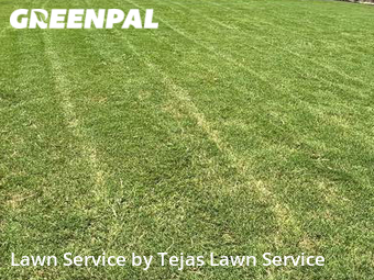 Lawn Cutting nearby Austin, TX, 