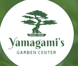 Best Nursery in Sunnyvale California 3