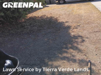 Work completed by local-landscaping-services-in-Carson-CA