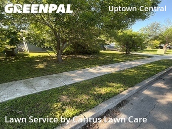 Lawn Mowing nearby San Antonio, TX, 