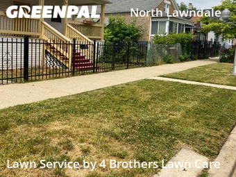 Yard Cutting nearby Chicago, IL, 