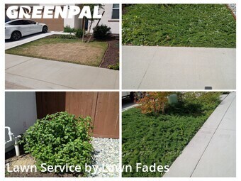 Lawn Care Service nearby Roseville, CA, 