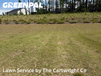 Lawn Cutting nearby Clayton, NC, 