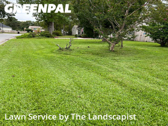 Lawn Mowing Service nearby Goose Creek, SC, 