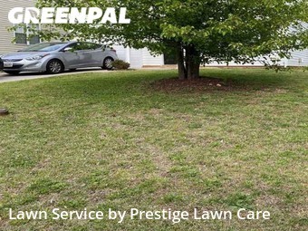 Lawn Cut nearby Greensboro, NC, 