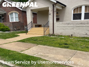Yard Cutting nearby St. Louis, MO, 