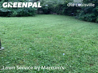 Lawn Mowing nearby Louisville, KY, 