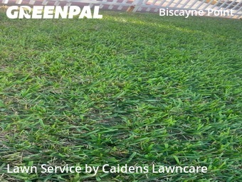 Grass Cut nearby Miami Beach, FL, 