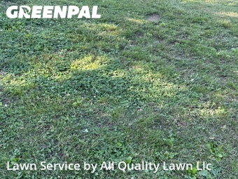 Lawn Cutting nearby Saint Charles, MO, 