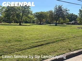 Grass Cut nearby Rock Hill, NC, 