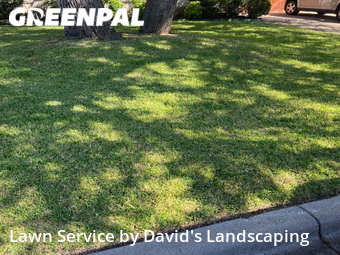 Lawn Mow nearby Austin, TX, 