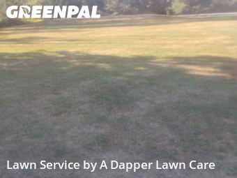 Lawn Service nearby Bellingham, WA, 