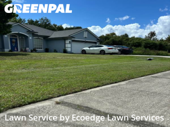 Grass Cut nearby Palm Bay, FL, 