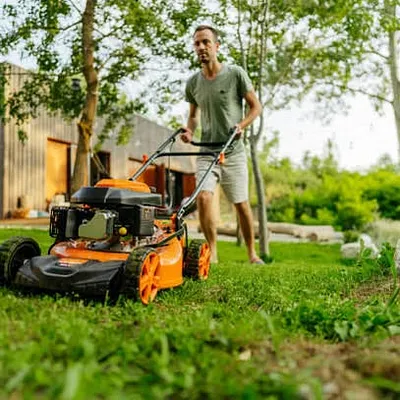 Arizona Lawn King Inc Photo 16