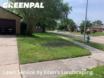 Grass Cut nearby Houston, TX, 