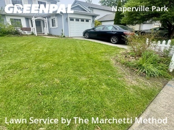 Lawn Mowing Service nearby Naperville, IL, 