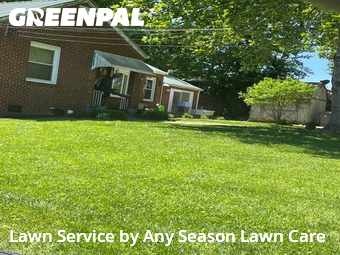 Lawn Care nearby Knoxville, TN, 