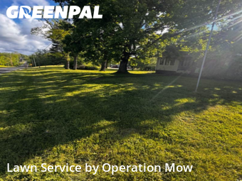Yard Upkeep in Alliance, 44601, Yard Care by Operation Mow, work completed in Nov , 2025