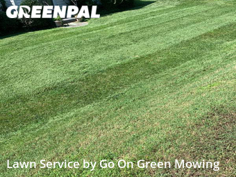 Lawn Cutting nearby Roanoke, VA, 