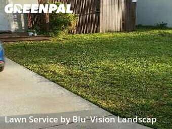Lawn Cut nearby Tampa, FL, 