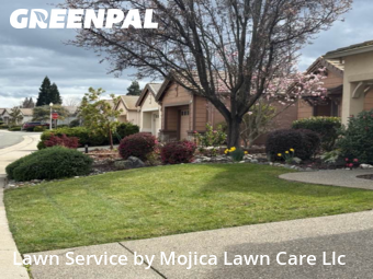 Work completed by local-landscaping-services-in-Lincoln-CA