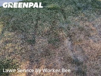 Lawn Cut nearby Denver, CO, 