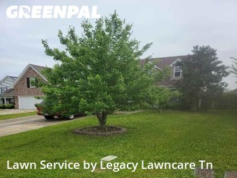 Yard Mowing nearby Murfreesboro, TN, 