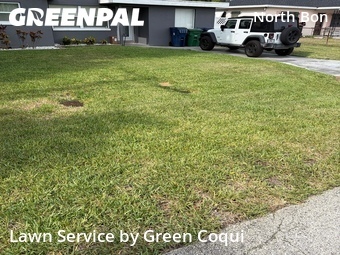 Lawn Care nearby Tampa, FL, 