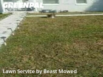 Lawn Mowing nearby St. Petersburg, FL, 