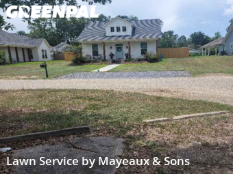 Lawn Mowing nearby Denham Springs, LA, 