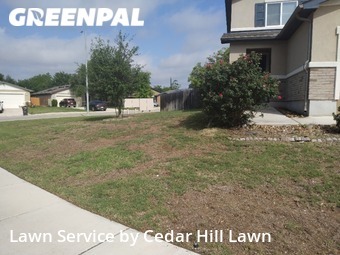 Yard Cutting nearby San Antonio, TX, 